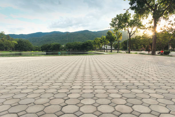 Best Professional Driveway Pavers  in Hamilton, GA