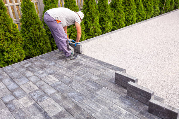 Best Driveway Paving Near Me  in Hamilton, GA